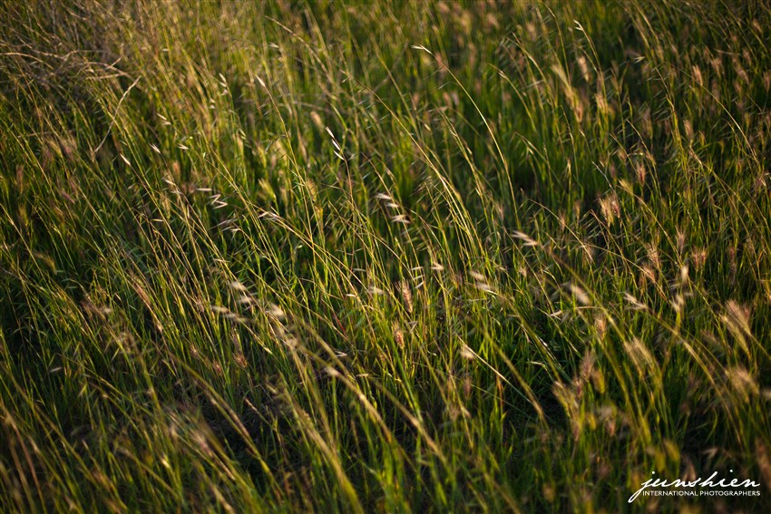 san francisco engagement session photographer mountain view engagement photographer bay area wedding photographer blog bay area engagement session photography bay area engagement session photographer 